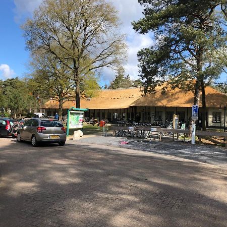 Chalet Albatros Diever Exterior foto